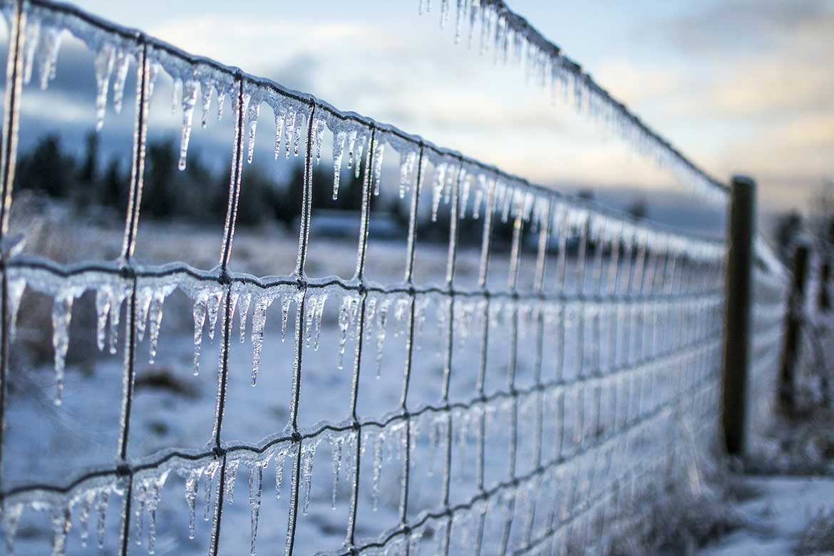 icy fence in winter
